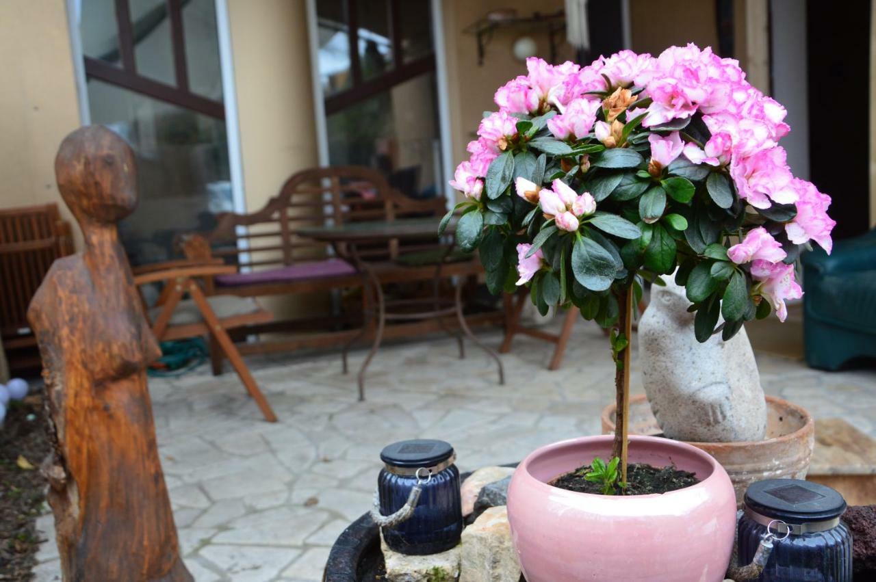 Art Styles Boutique Apartment Szentendre Buitenkant foto